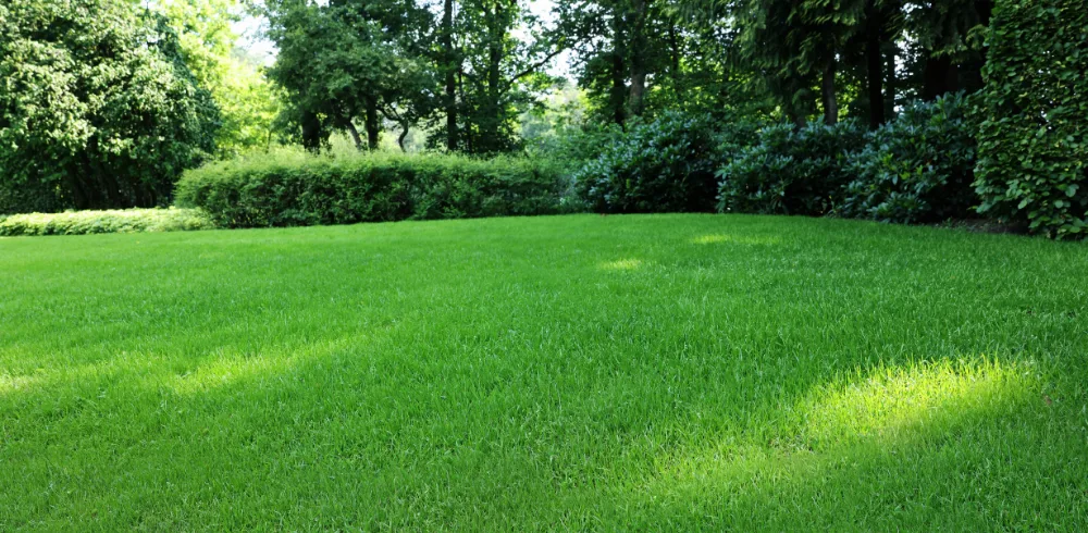 Nowoczesne ogrodzenie gabionowe na pochyłym terenie